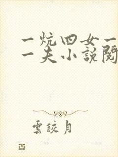 一炕四女一共侍一夫小说阅读