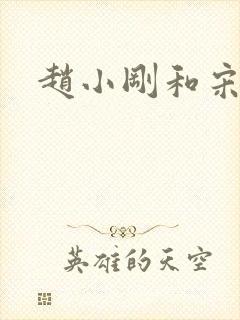 赵小刚和宋雨晴