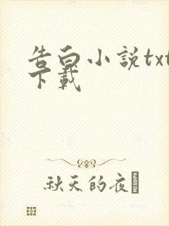 告白小说txt下载