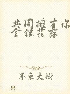 共同拥有你by金银花露