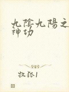 九阴九阳之阴阳神功