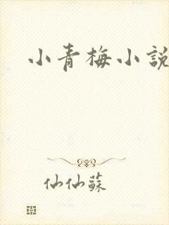 小青梅小说