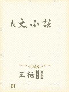 h文小说