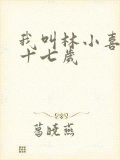 我叫林小喜今年十七岁
