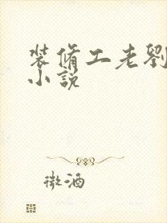 装修工老刘林雪小说