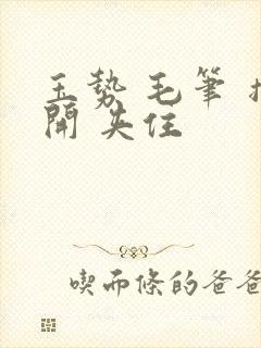 玉势 毛笔 撑开 夹住