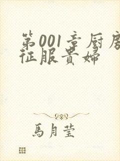 第001章厨房征服贵妇