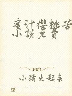 蜜汁樱桃苦咖啡小说免费