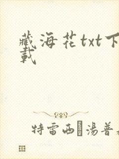 藏海花txt下载