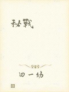 秘战