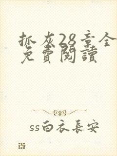 抓灰28章全部免费阅读