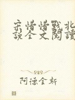 宋惜惜战北望小说全文阅读