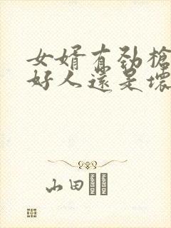 女婿有劲枪枪是好人还是坏人