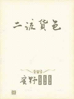 二流货色
