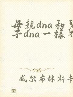 母亲dna和儿子dna一样不