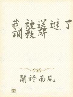 我被送进了私奴调教所