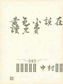 黄色小说在线阅读免费