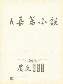 h长篇小说