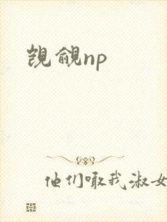 觊觎np