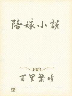 陪嫁小说