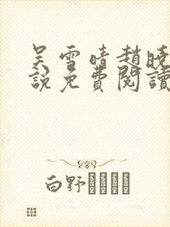 吴雪晴赵晓东小说免费阅读