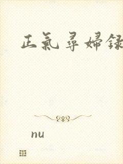正气寻妇录
