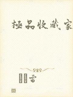 极品收藏家