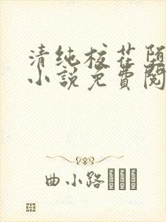 清纯校花堕落记小说免费阅读