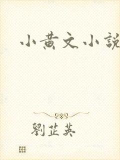 小黄文小说