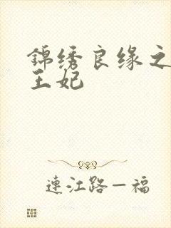 锦绣良缘之北地王妃