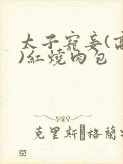 太子宠妾(高肉)红烧肉包