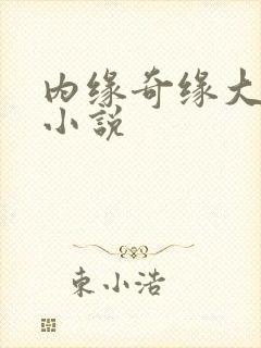内缘奇缘大团圆小说
