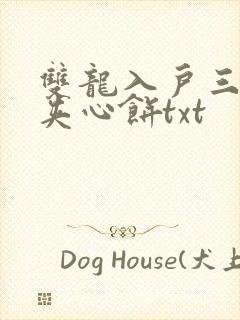 双龙入户三人行夹心饼txt