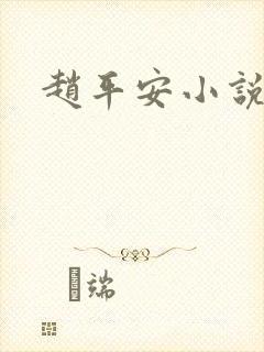 赵平安小说主角