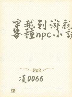 穿越到游戏里和各种npc小说