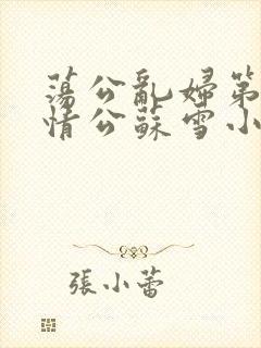荡公乱妇第1章情公苏雪小说