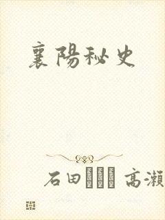 襄阳秘史