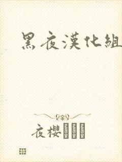 黑夜汉化组