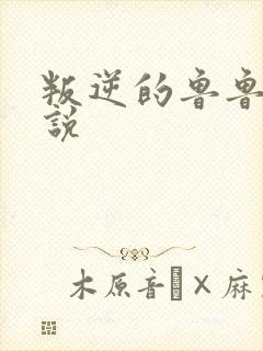 叛逆的鲁鲁修小说