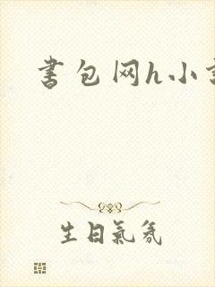 书包网h小说