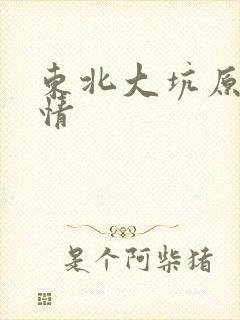 东北大坑原始激情