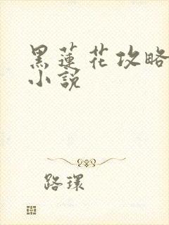 黑莲花攻略手册小说