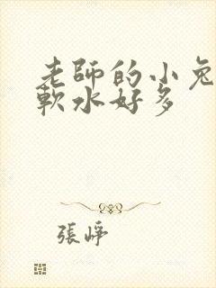 老师的小兔子好软水好多