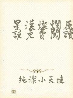 星汉灿烂原著小说免费阅读