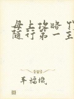 母上攻略 竹影随行第一主板