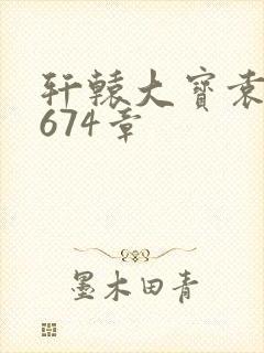 轩辕大宝袁雪妃674章