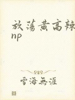 放荡黄高辣h文np