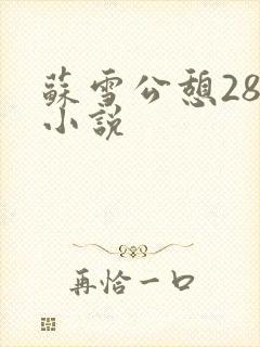 苏雪公憩28篇小说