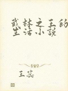 武林之王的退隐生活小说