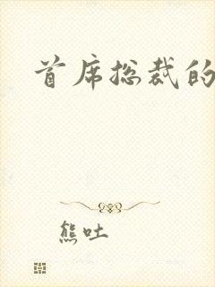 首席总裁的逃妻